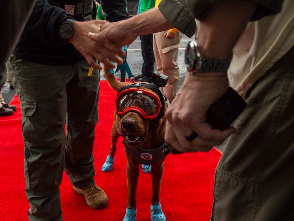 USS Carl Vinson (CVN 70) Welcomes Rudder, a Mental Health Facility Dog