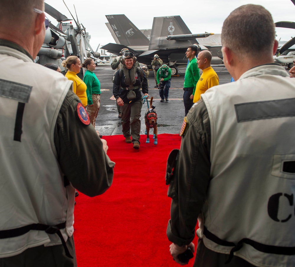 USS Carl Vinson (CVN 70) Welcomes Rudder, a Mental Health Facility Dog