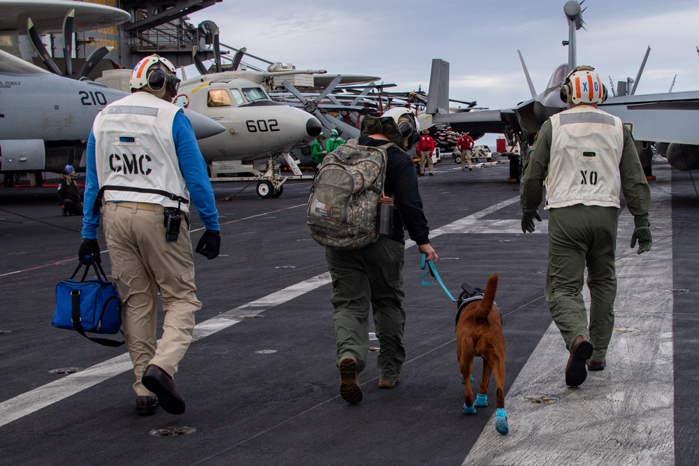 USS Carl Vinson (CVN 70) Welcomes Rudder, a Mental Health Facility Dog