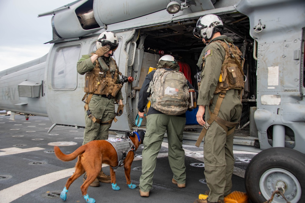 USS Carl Vinson (CVN 70) Welcomes Rudder, a Mental Health Facility Dog