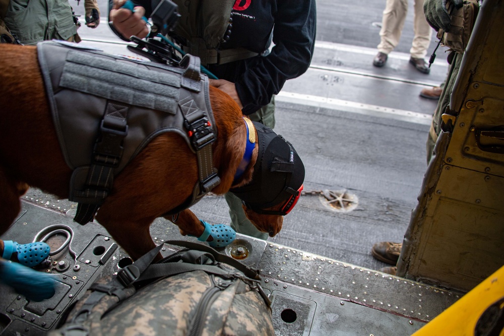 USS Carl Vinson (CVN 70) Welcomes Rudder, a Mental Health Facility Dog