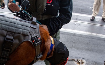 USS Carl Vinson (CVN 70) Welcomes Rudder, a Mental Health Facility Dog