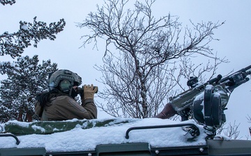 Swedish Arctic Rangers Train During Exercise Adamant Serpent 25