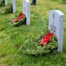 62d Airlift Wing honors veterans during Wreaths Across America