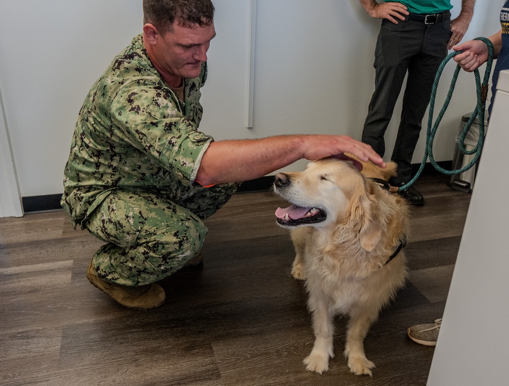 Paws for Effect: Tuukka the Golden Retriever visits HRMC