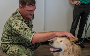 Paws for Effect: Tuukka the Golden Retriever visits HRMC