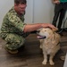 Paws for Effect: Tuukka the Golden Retriever visits HRMC