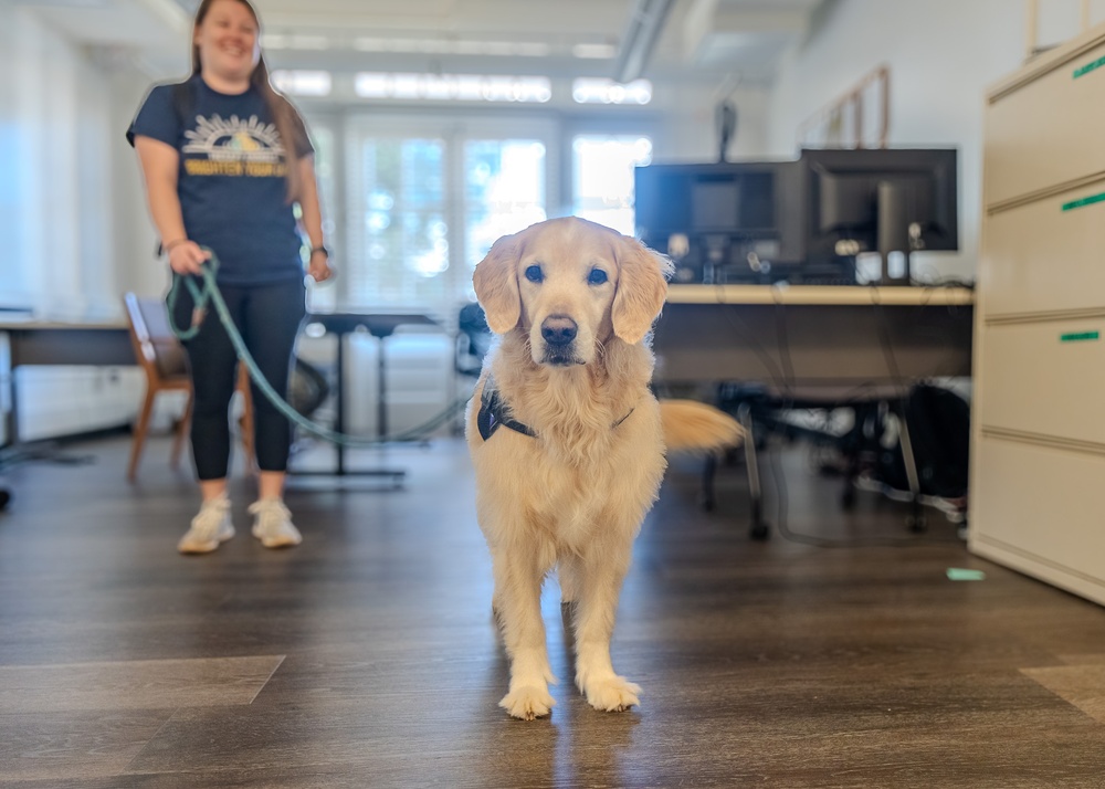 Paws for Effect: Tuukka the Golden Retriever visits HRMC