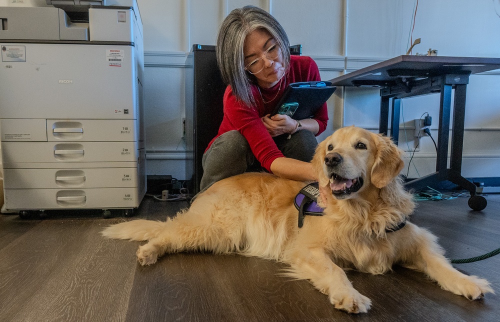 Paws for Effect: Tuukka the Golden Retriever visits HRMC