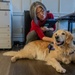 Paws for Effect: Tuukka the Golden Retriever visits HRMC