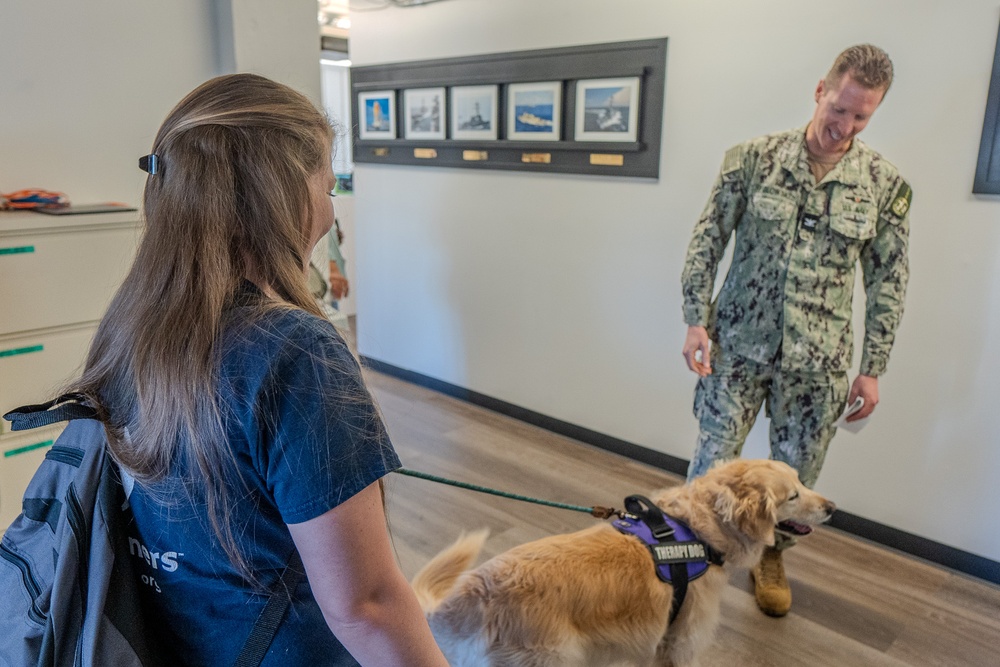 Paws for Effect: Tuukka the Golden Retriever visits HRMC