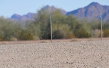 Coyotes are among wildlife found at U.S. Army Yuma Proving Ground