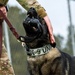 U.S. Air Force Academy Military Working Dog