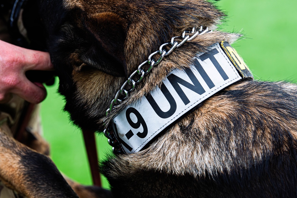 U.S. Air Force Academy Military Working Dog