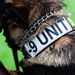 U.S. Air Force Academy Military Working Dog