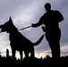 U.S. Air Force Academy Military Working Dog