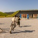 Marine Corps Marksmanship Competition Far East 24