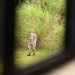 36 SFS conducts Beta Jungle Course