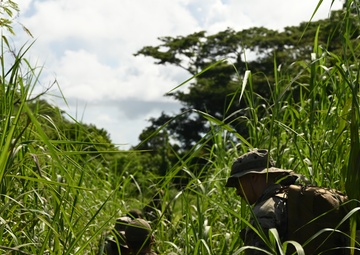 36 SFS conducts Beta Jungle Course
