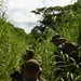 36 SFS conducts Beta Jungle Course