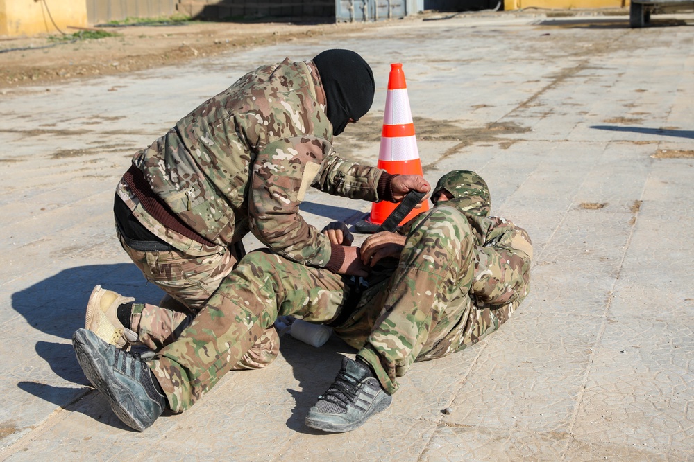 SDF and Coalition Training