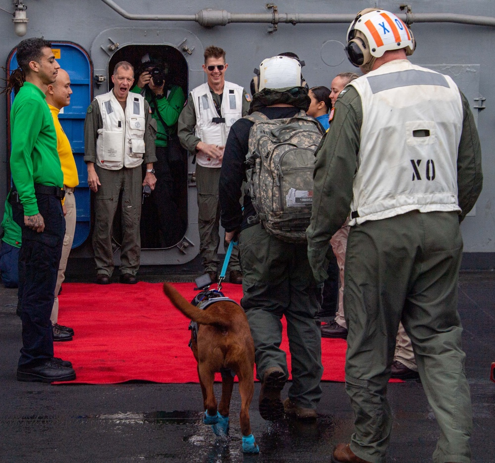 USS Carl Vinson (CVN 70) Welcomes Rudder, a Mental Health Facility Dog