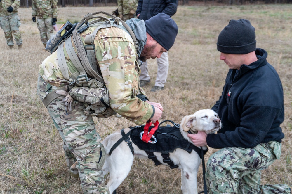 Commitment to Canine Welfare