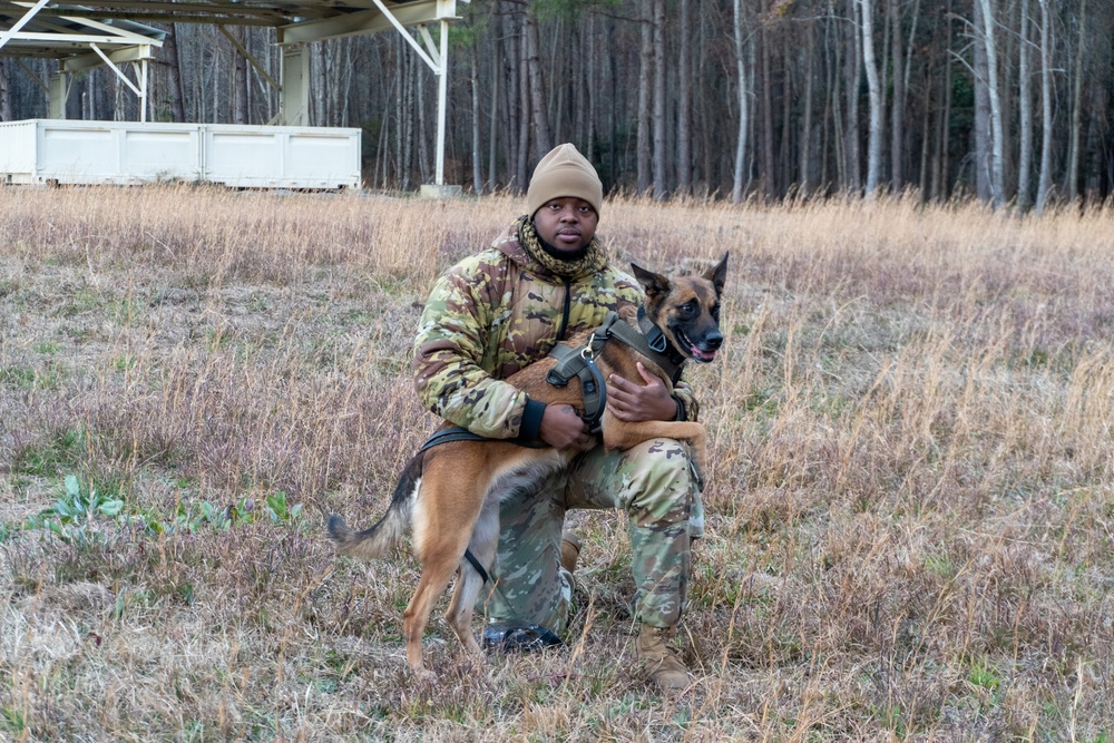 MWD Unwavering Partnership