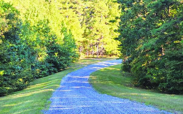 Operation Patriot Press