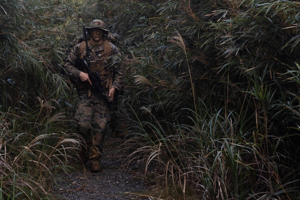 III MIG | 3d Intel. Bn. Marines Conduct Patrol