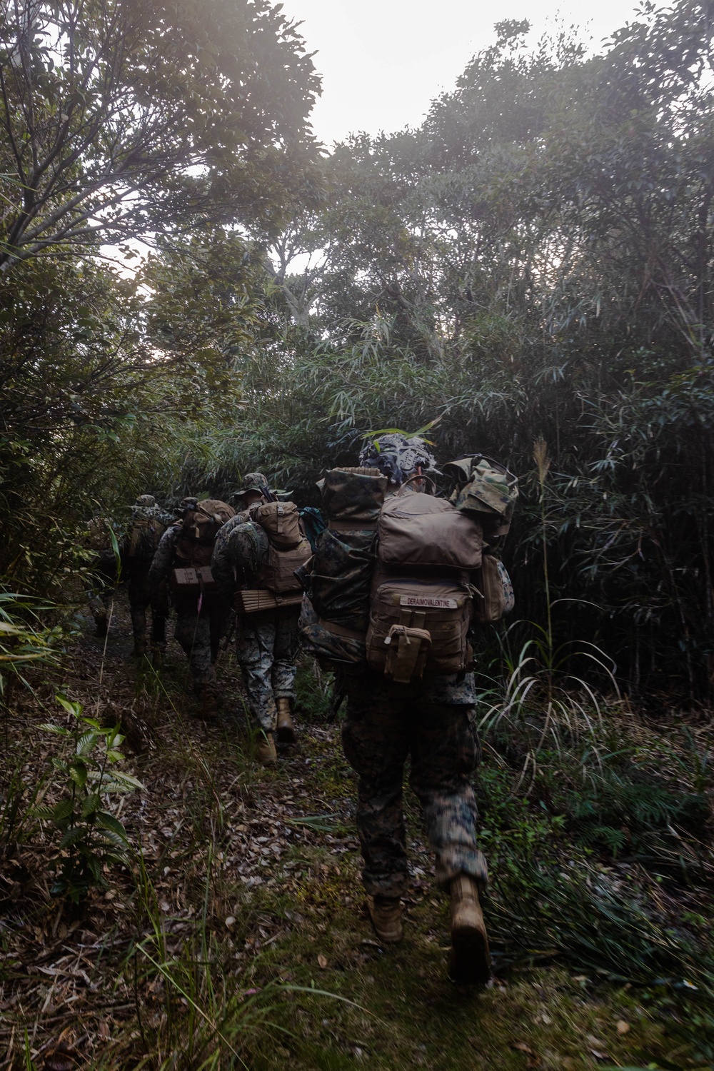 III MIG | 3d Intel. Bn. Marines Conduct Patrol