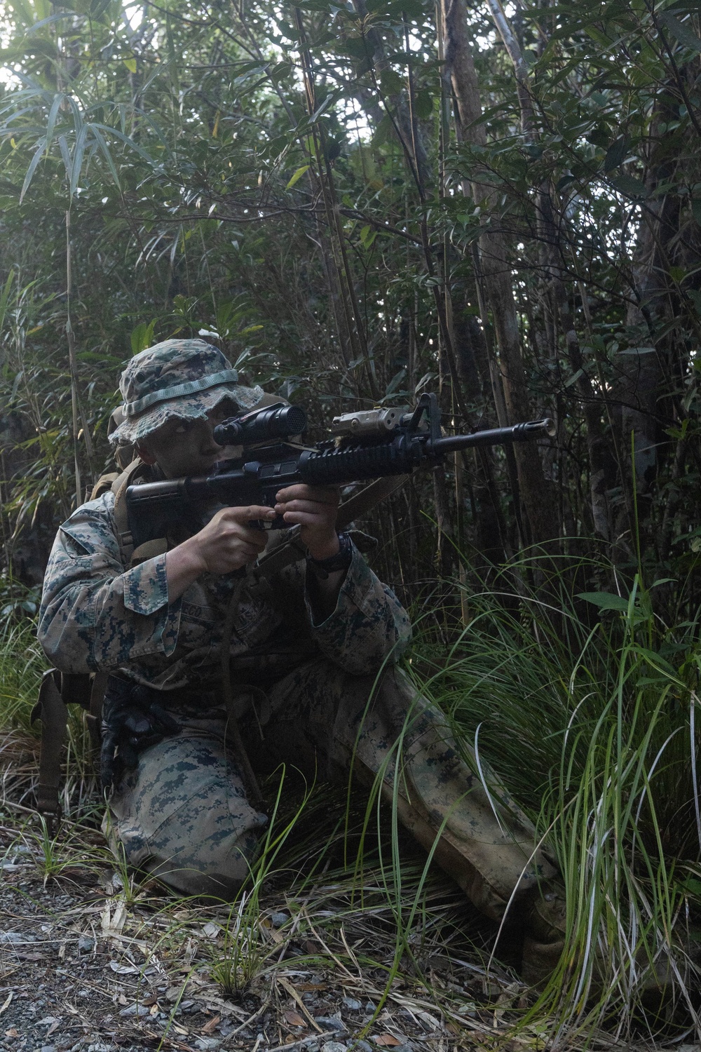 III MIG | 3d Intel. Bn. Marines Conduct Patrol