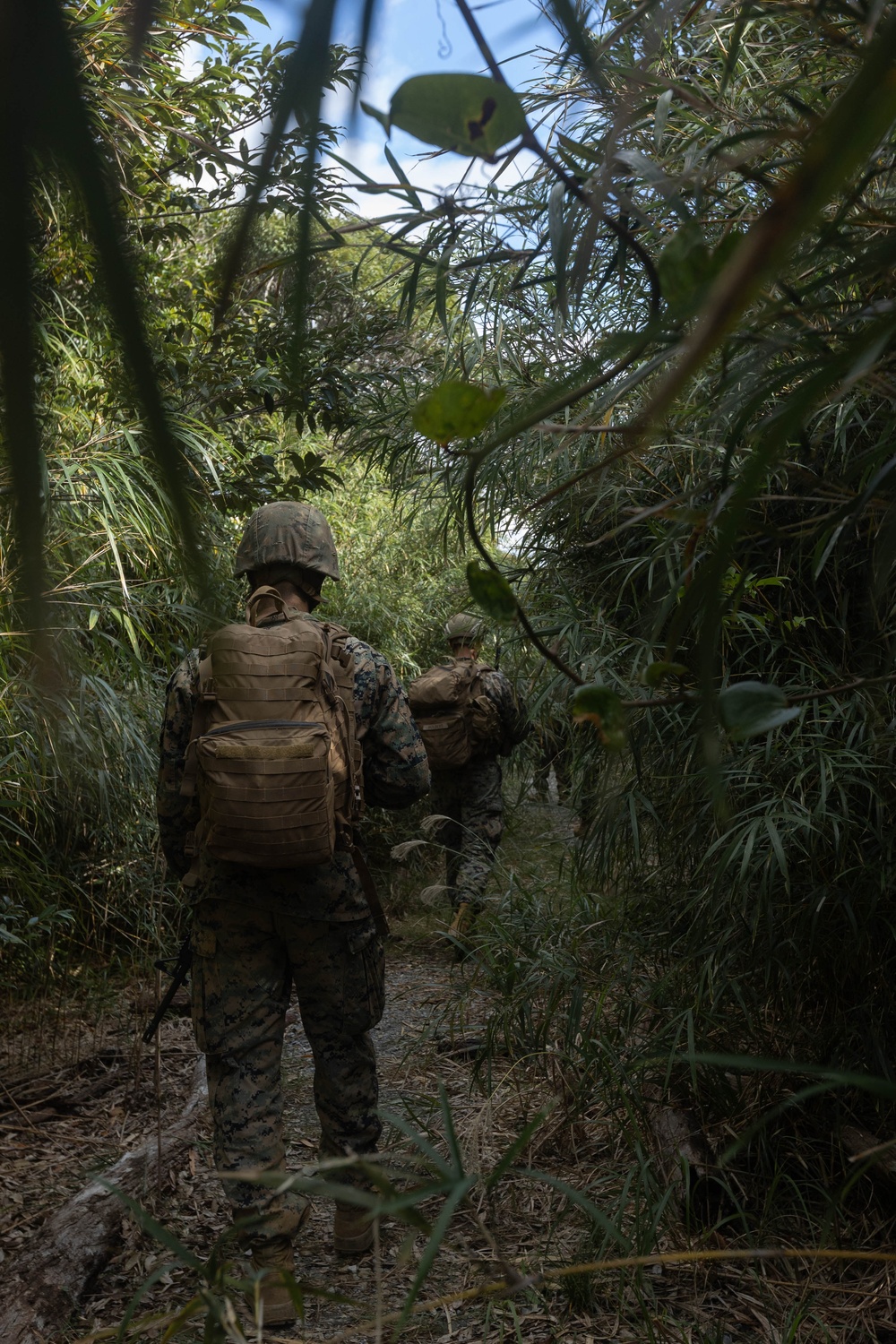 III MIG | 3d Intel. Bn. Marines Conduct Patrol