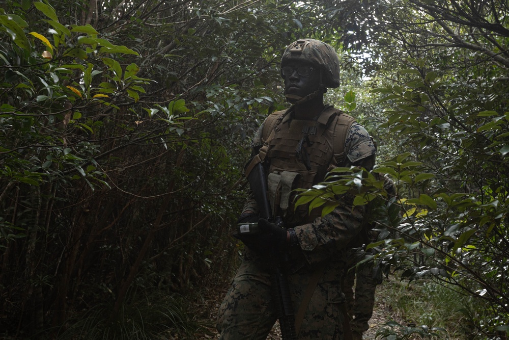 III MIG | 3d Intel. Bn. Marines Conduct Patrol