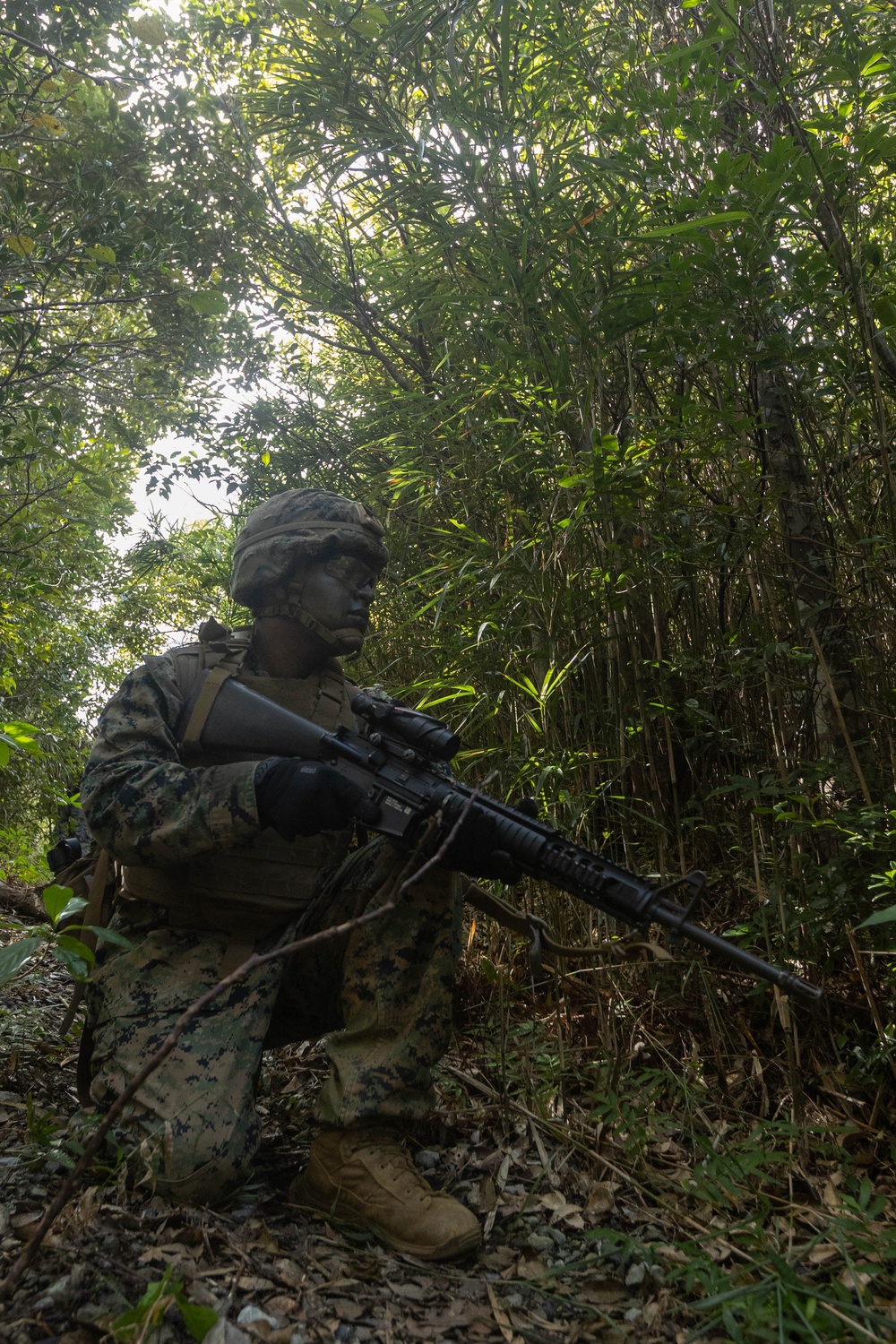 III MIG | 3d Intel. Bn. Marines Conduct Patrol