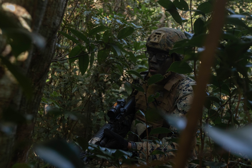 III MIG | 3d Intel. Bn. Marines Conduct Patrol