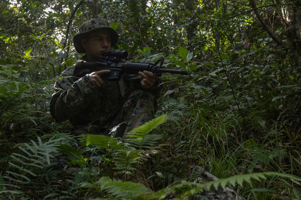 III MIG | 3d Intel. Bn. Marines Conduct Patrol