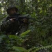 III MIG | 3d Intel. Bn. Marines Conduct Patrol