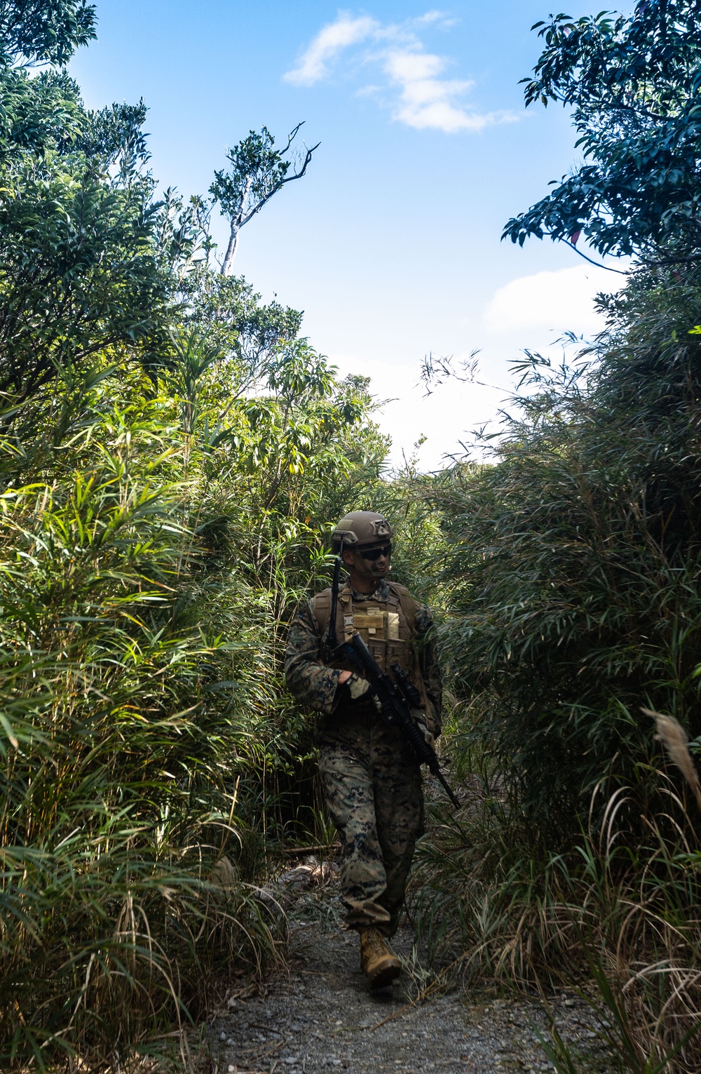 III MIG | 3d Intel. Bn. Marines Conduct Patrol