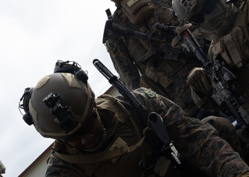 31st MEU conducts Noncombatant Evacuation Operation exercise