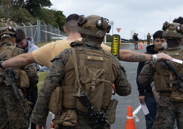 31st MEU conducts Noncombatant Evacuation Operations exercise