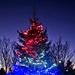 2024 Fort McCoy Christmas Tree Lighting Ceremony kicks off holiday season at installation