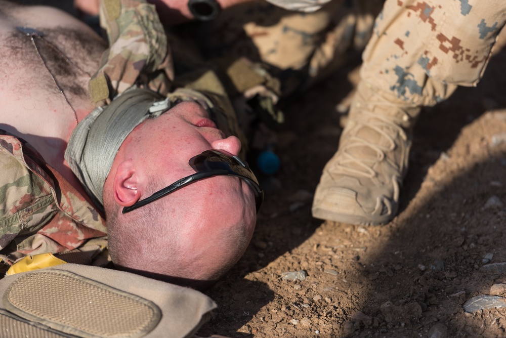 Coalition Forces Conduct Medical Evacuation Battle Drills