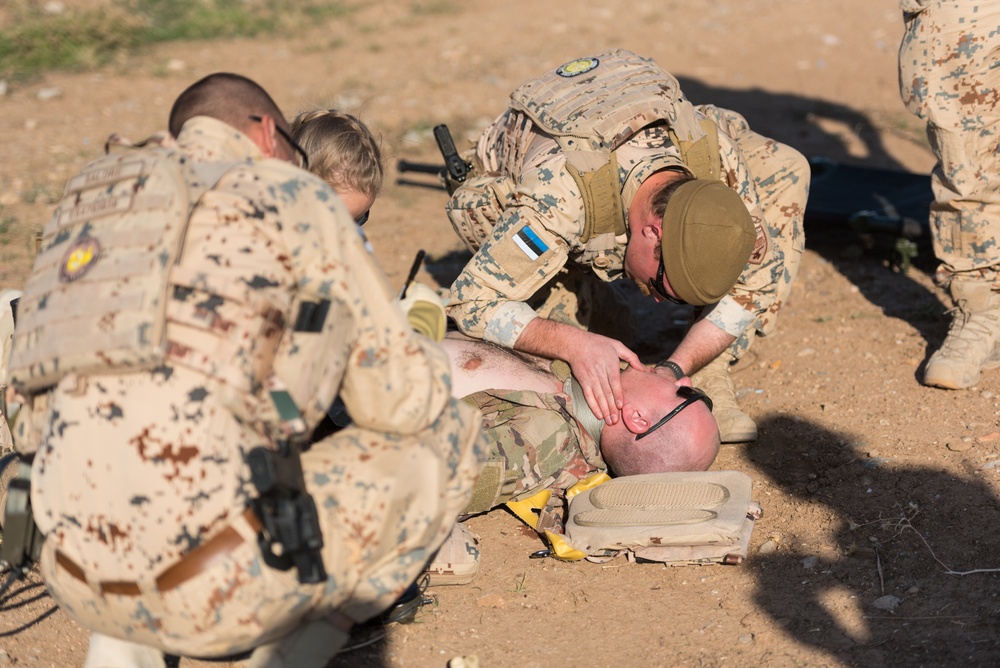 Coalition Forces Conduct Medical Evacuation Battle Drills