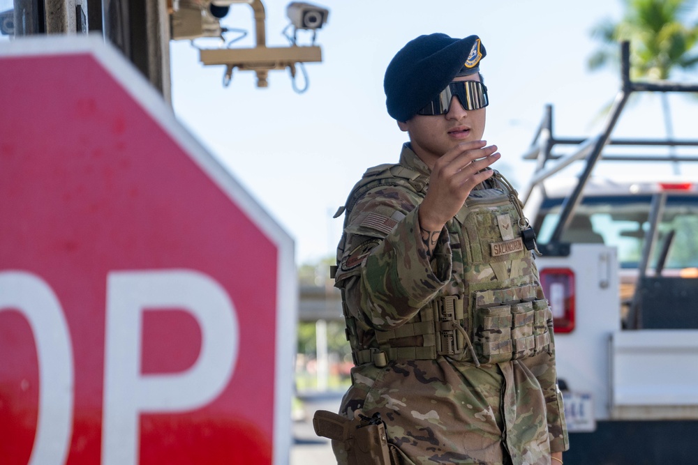 647th Security Forces Squadron on guard