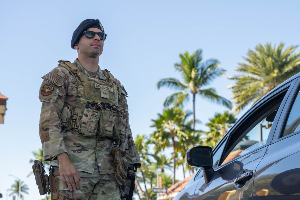 647th Security Forces Squadron on guard