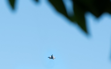 Hawaii ANG Salutes at Hickam Field Remembrance Ceremony