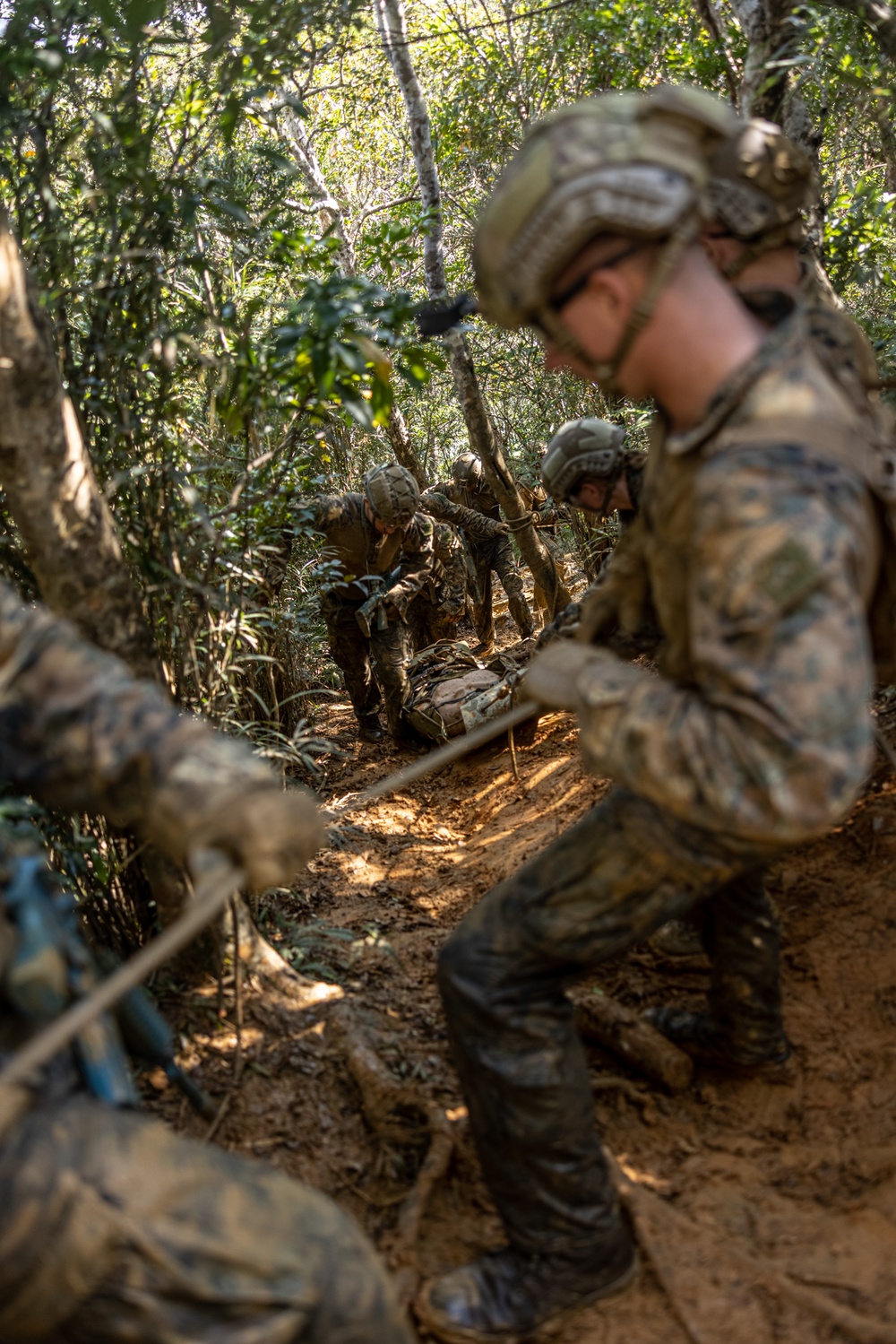 4th Marines | Company Jungle Exercise CasEvac Day 1