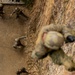 4th Marines | Company JEX Rappel Wall