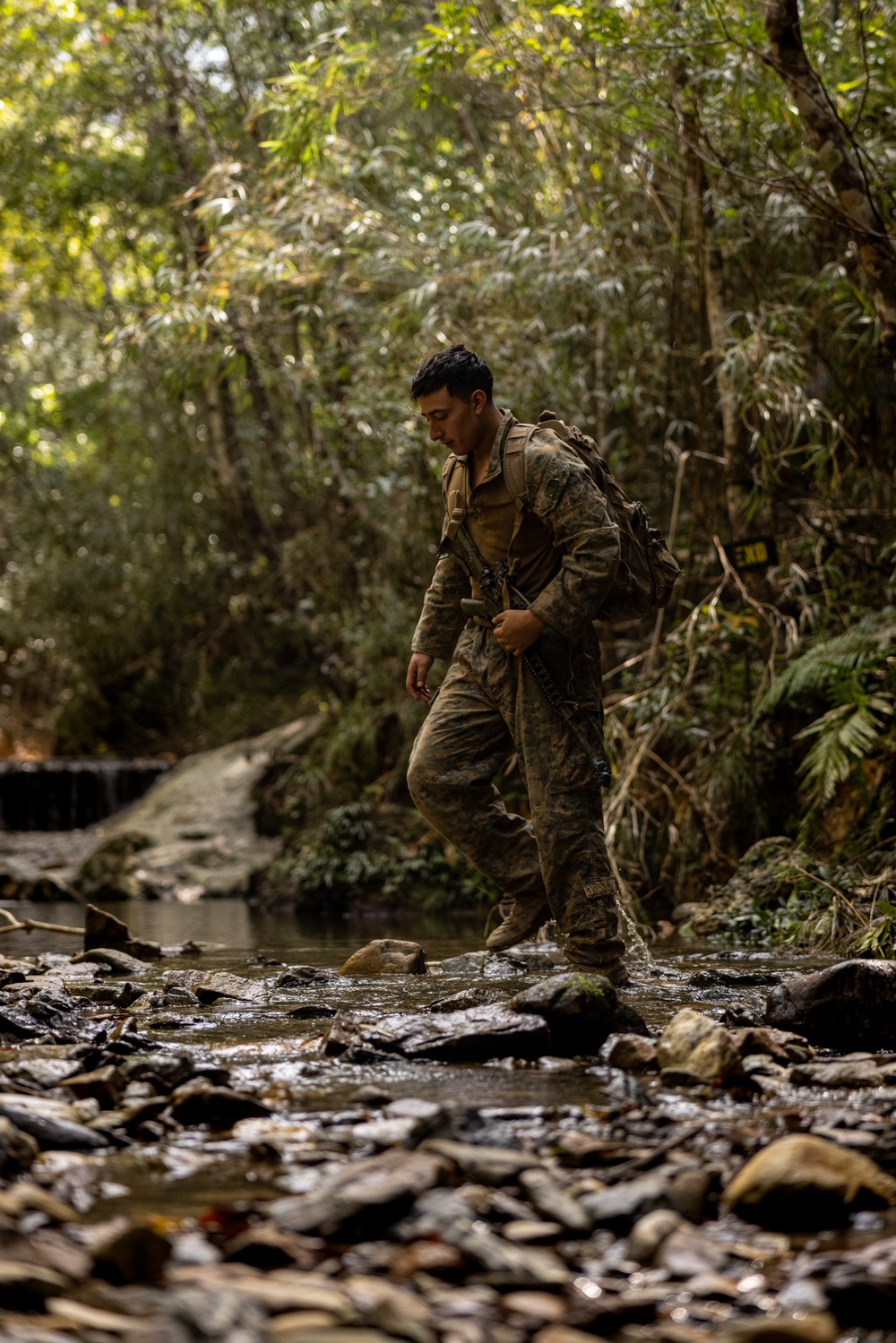 4th Marines | Company JEX Rappel Wall